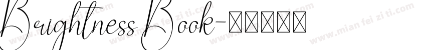 Brightness Book字体转换